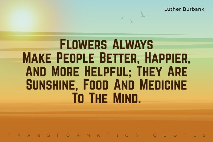 Sunshine Quotes 1 Sunshine Quotes (1)