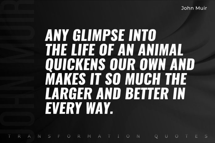 John Muir Quotes 1 John Muir Quotes (1)