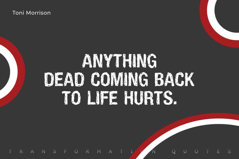 Toni Morrison Quotes (1)