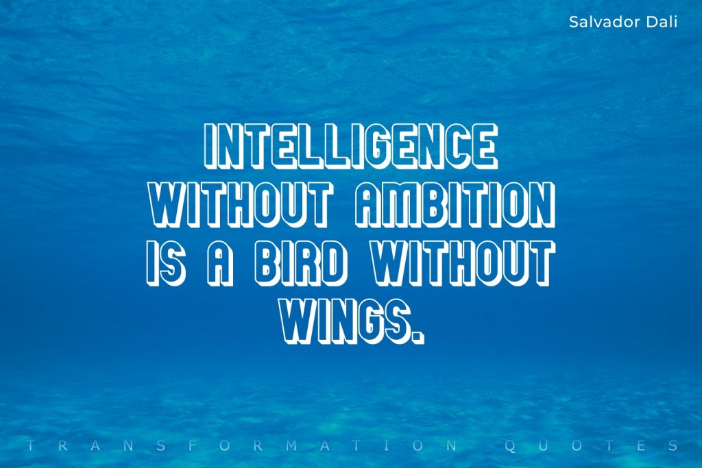10 Wings Quotes That Will Inspire You TransformationQuotes