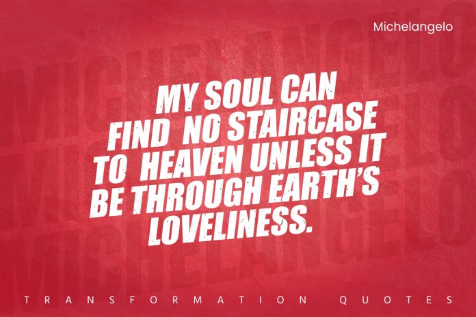 Michelangelo Quotes (1)