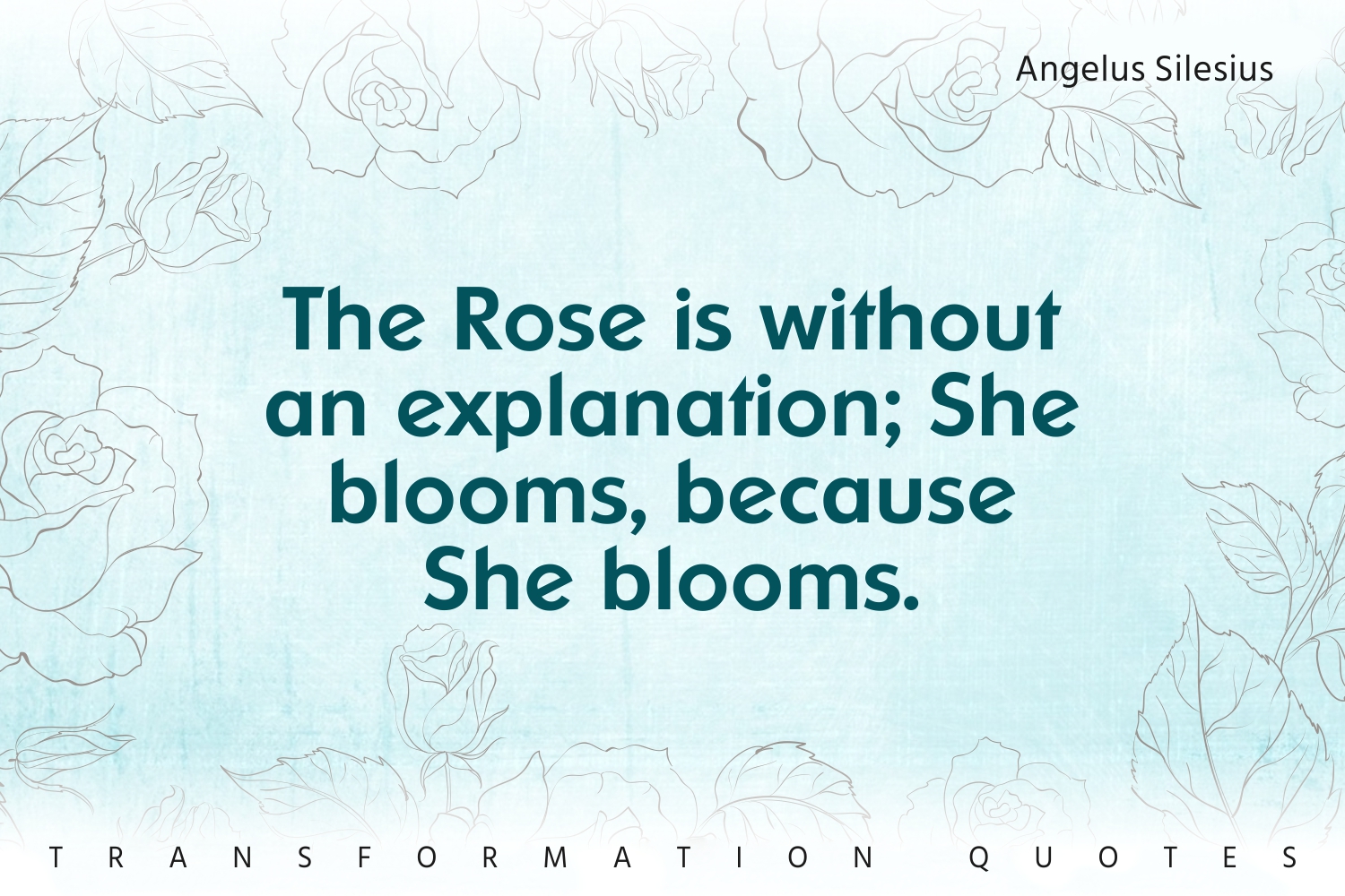 10 Rose Quotes That Will Inspire You TransformationQuotes
