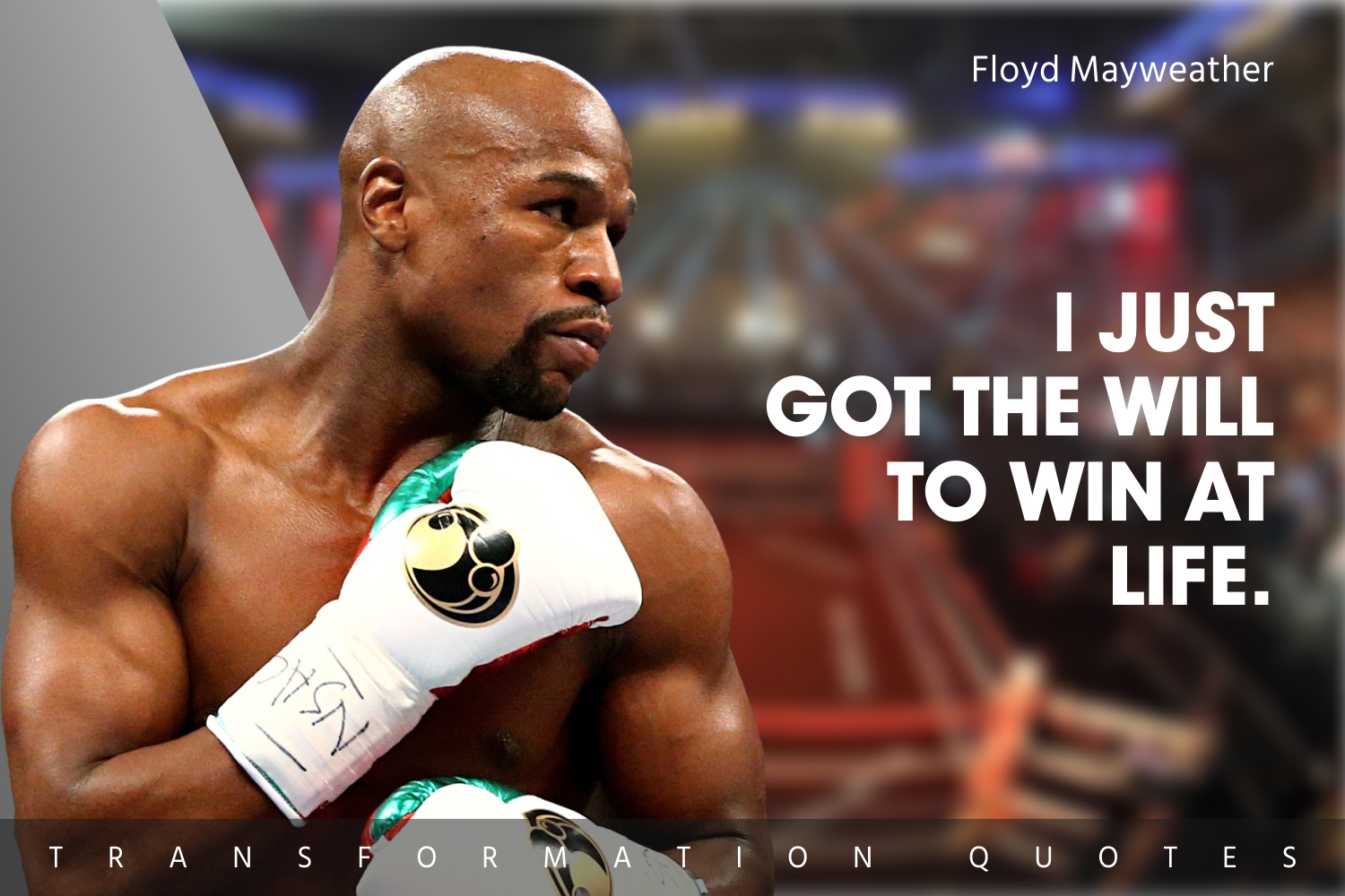 10 Floyd Mayweather Quotes That Will Inspire You TransformationQuotes