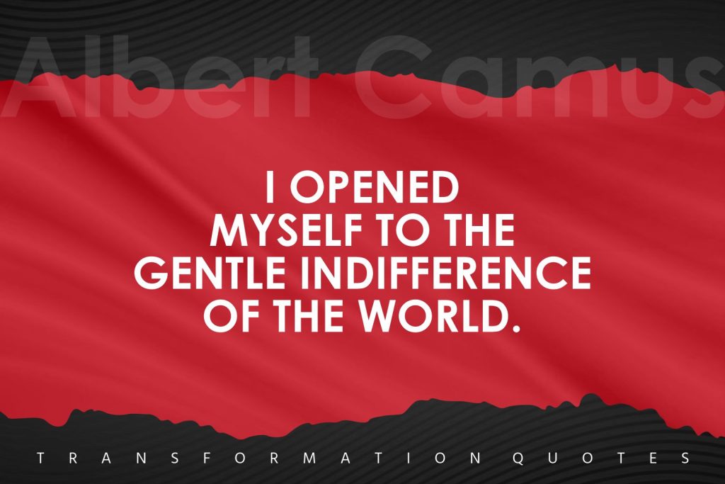 Albert Camus Quotes (4)