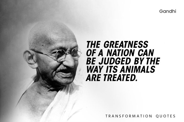 Gandhi Quotes (6)