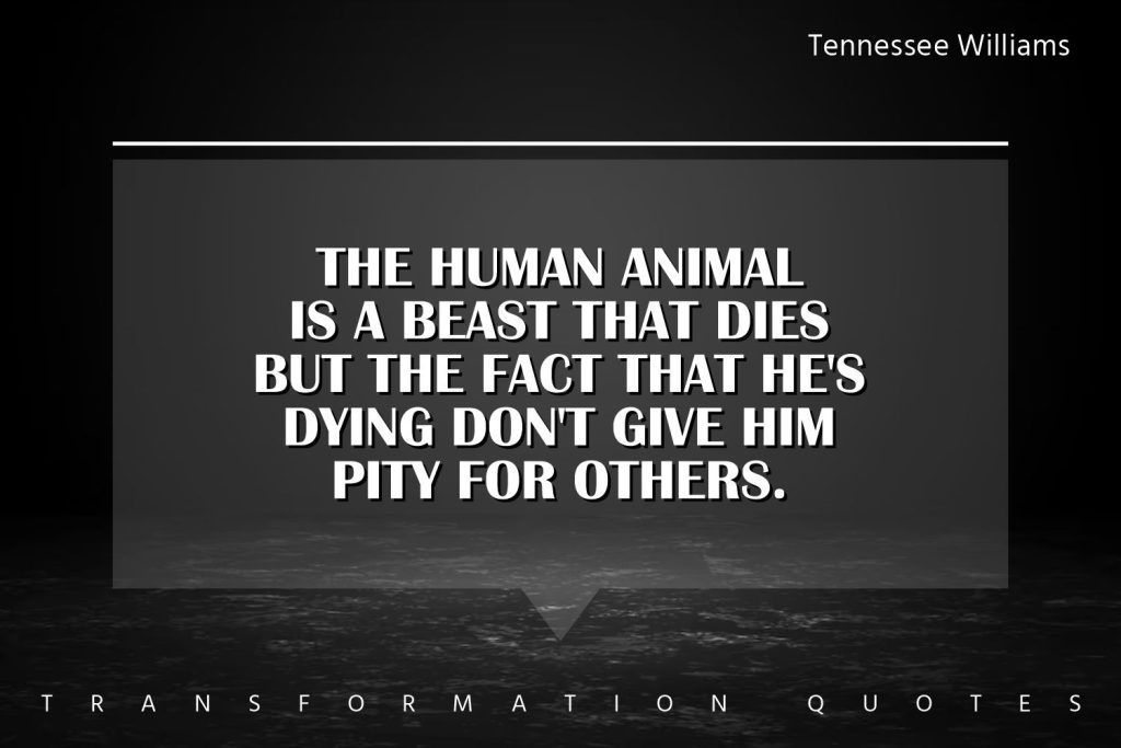 Tennessee Williams Quotes (2)