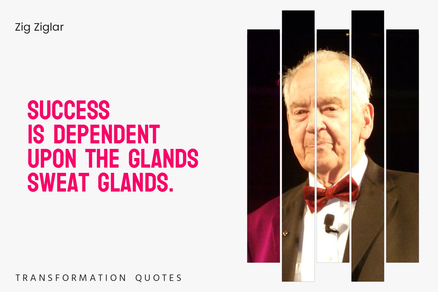 10 Zig Ziglar Quotes That Will Inspire You | TransformationQuotes